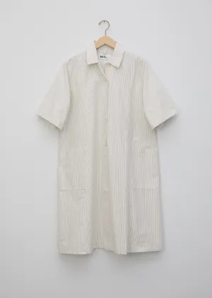 Cotton Stripe Flared Shirt Dress