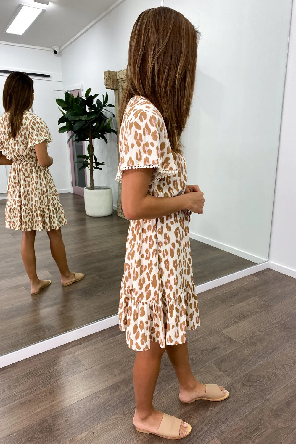 Erin Print Dress